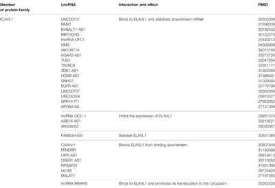 Roles of Embryonic Lethal Abnormal Vision-Like RNA Binding Proteins in Cancer and Beyond